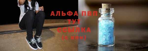 стафф Алексин