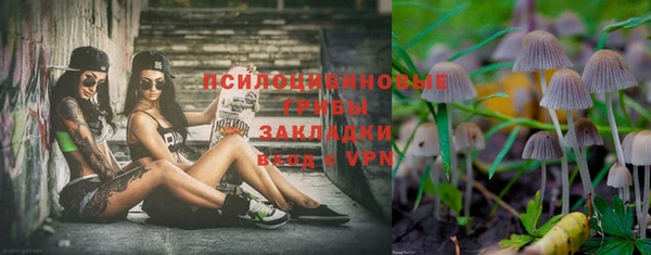 стафф Алексин