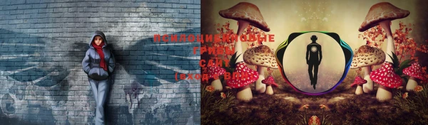 MDMA Premium VHQ Алзамай