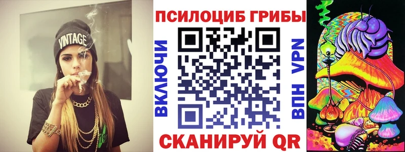 где продают Саки гидра ССЫЛКА Псилоцибиновые грибы Psilocybine cubensis